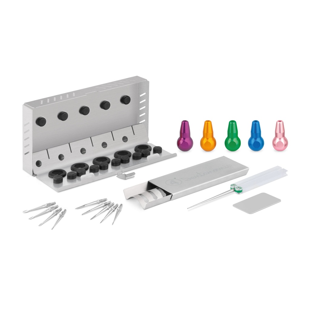 DENTANOMIC set - goud, bestaande uit 5 standaard handgrepen (paars, oranje, groen, blauw en roze) + elevator- en luxatormesjesset (9 stuks) + opbergrekje + slijpset + sterilisatiecontainer